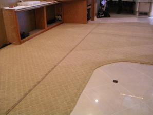 new plush carpet